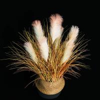uploads/erp/collection/images/Home Garden/CongDing/XU0611605/img_b/XU0611605_img_b_4